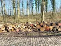 10 stère hardhout