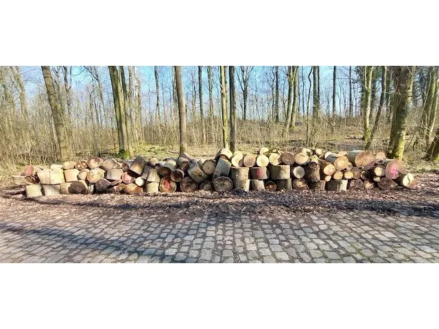 10 stère hardhout - afbeelding 1 van  1