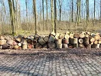 10 stère hardhout