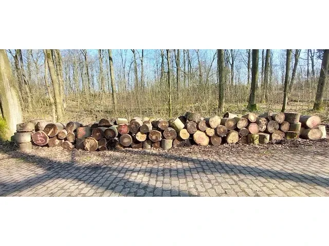 10 stère hardhout - afbeelding 1 van  1