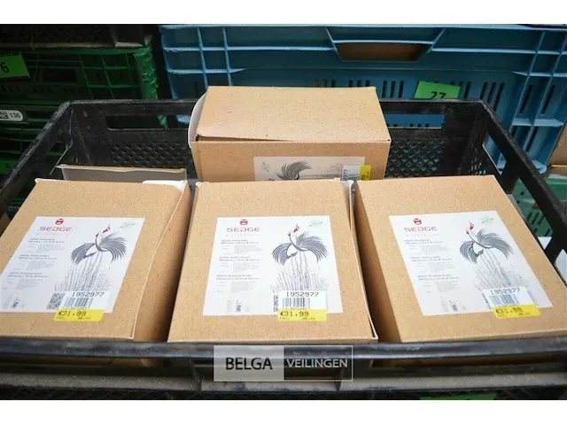 10 x 500 rietjs 15 cm sedge - afbeelding 1 van  6