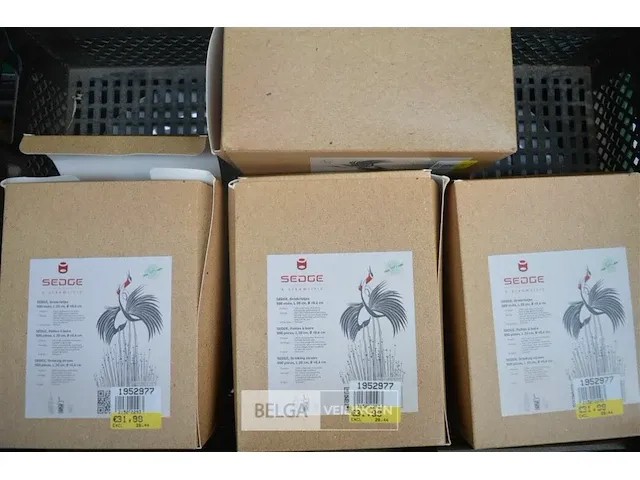 10 x 500 rietjs 15 cm sedge - afbeelding 2 van  6