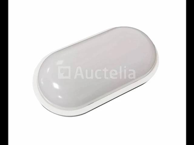 10 x bulkhead 24w - ovaal - opbouw - waterdicht (ip65) - 9000k (daglicht) - afbeelding 1 van  4