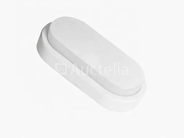 10 x bulkhead 24w - ovaal - opbouw - waterdicht (ip65) - 9000k (daglicht) - afbeelding 2 van  4