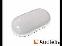 10 x bulkhead 24w - ovaal - opbouw - waterdicht (ip65) - 9000k (daglicht)