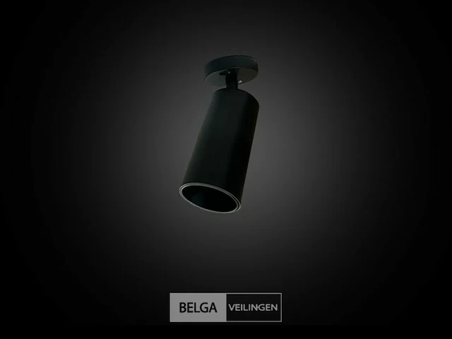 10 x gu10 opbouwarmatuur – draaibaar 350°/70° – ø55x110 mm – aluminium – ip20 – binnen - afbeelding 4 van  6