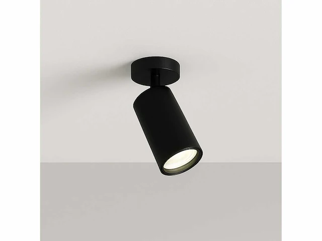 10 x gu10 opbouwarmatuur – draaibaar 350°/70° – ø55x110 mm – aluminium – ip20 – binnen - afbeelding 2 van  5