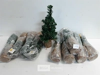 10 x kerstboom met kluit 34 cm - afbeelding 1 van  3