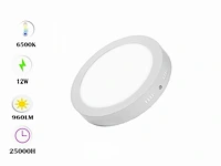 10 x led paneel 12w - led smd - opbouw - rond - 6500k (daglicht) - afbeelding 1 van  5