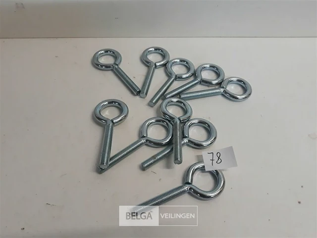 10 x oogbout m 8x60 verzinkt - afbeelding 1 van  3