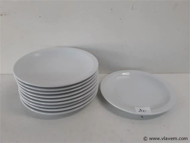 10 x plat bord 21 cm - afbeelding 1 van  2