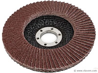 10 x slijpschijf lammellenschijf 115x22mm - afbeelding 1 van  1