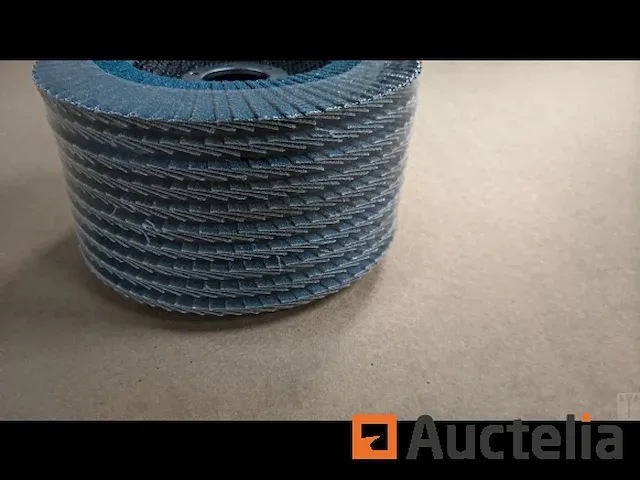 10 x slijpschijf lammellenschijf 125x22mm, metaal, grit 80 - afbeelding 3 van  3