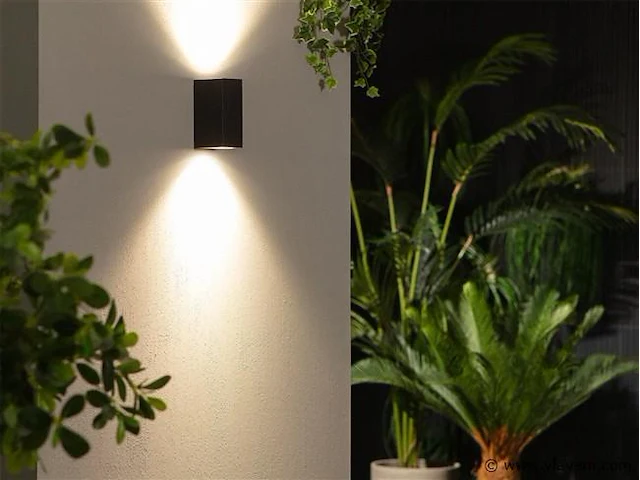10 x wallight eco 2.0 buiten armatuur zwart - afbeelding 4 van  9
