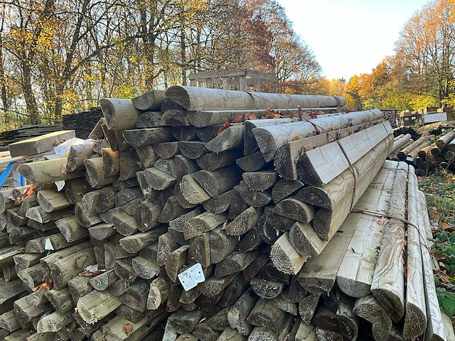 100 geautoclaveerde halve stammen - afbeelding 1 van  3