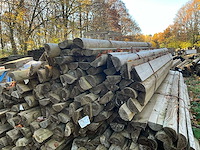 100 geautoclaveerde halve stammen - afbeelding 1 van  3