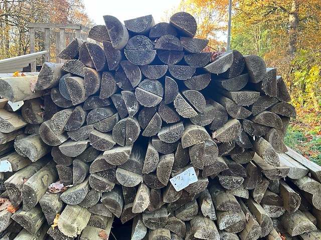 100 geautoclaveerde halve stammen - afbeelding 3 van  3