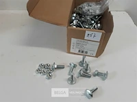 100 x houtbout met moer verzinkt m8x25 - afbeelding 2 van  3
