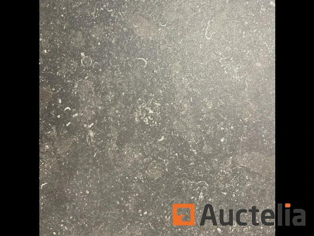100m² gerectificeerde tegels 30x45 in blauwe steen, vloer en muur - afbeelding 1 van  3