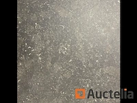 100m² gerectificeerde tegels 30x45 in blauwe steen, vloer en muur - afbeelding 1 van  3
