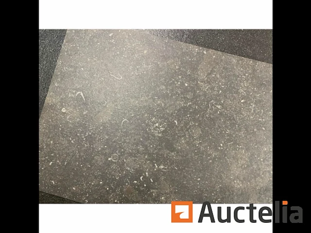 100m² gerectificeerde tegels 30x45 in blauwe steen, vloer en muur - afbeelding 2 van  3