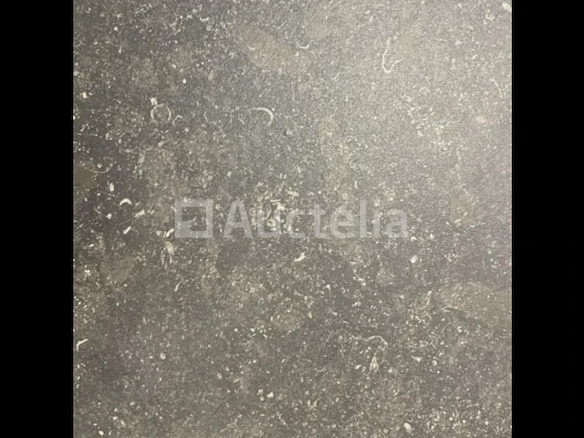 100m² gerectificeerde tegels 30x45 in blauwe steen, vloer en muur - afbeelding 3 van  3