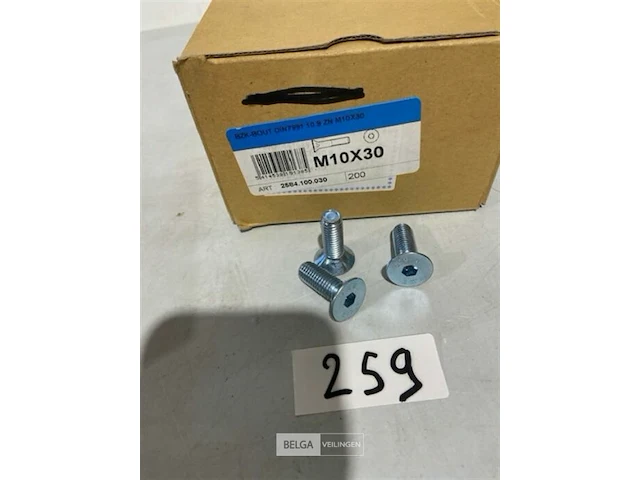 100x bzk bout m10x30 - afbeelding 1 van  3