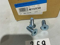 100x bzk bout m10x30 - afbeelding 1 van  3