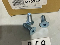 100x bzk bout m10x30 - afbeelding 3 van  3