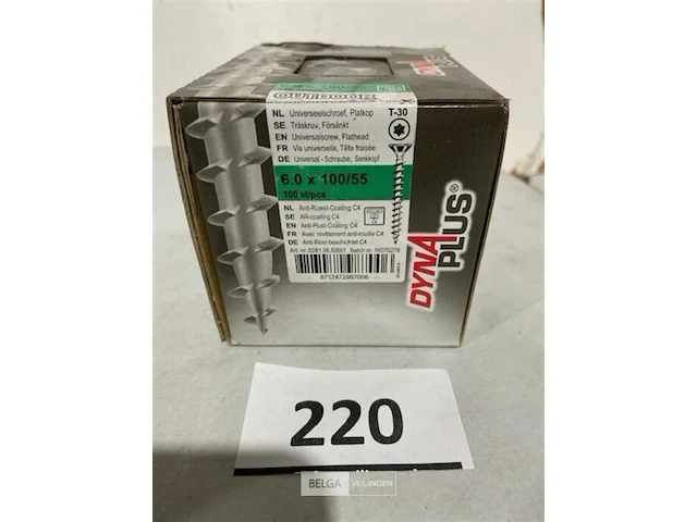 100x dyna plus vlonderschroef torx 6x100/55 met anti roestlaag voor buiten - afbeelding 3 van  3