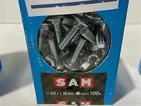 100x houtbout en moer m8x30mm