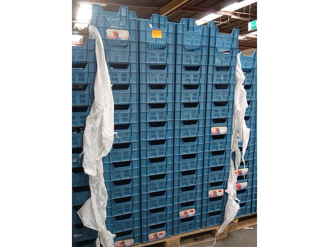 100x plastic bak - afbeelding 3 van  4