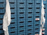 100x plastic bak - afbeelding 3 van  4