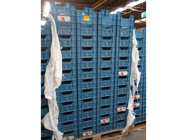100x plastic bak - afbeelding 4 van  4