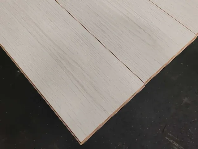 109 m2 alba laminaat - 1290 x 190 x 8 mm - afbeelding 3 van  4
