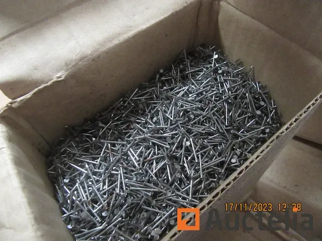10bt van 5kg nagels - afbeelding 2 van  4