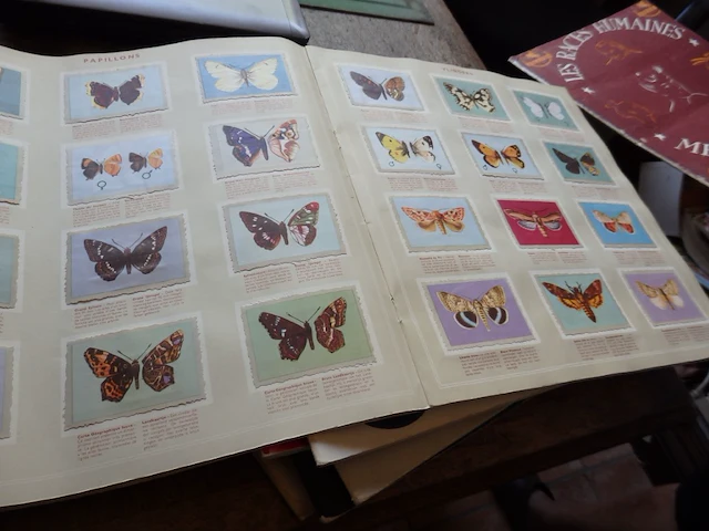 10x album chocolade jacques - afbeelding 3 van  3
