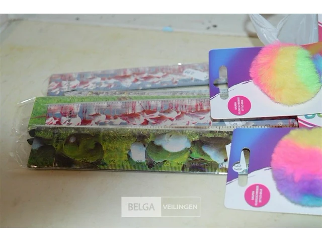 10x balpennen, 10x latten 30 cm - afbeelding 3 van  4