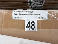 10x keramische salontafelblad statuarietto bianco matte - 1200mm - afbeelding 2 van  3