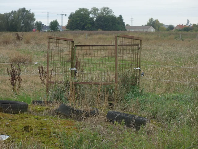 10x metalen draadmand - afbeelding 5 van  5