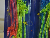 10x10st coctail sticks giraffe - afbeelding 3 van  4