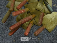 ± 11 metseltroffels - afbeelding 3 van  4