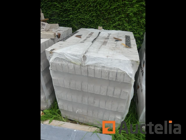 11 pallets bakstenen vandersanden argentis - afbeelding 3 van  10