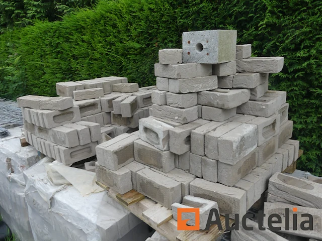 11 pallets bakstenen vandersanden argentis - afbeelding 4 van  10