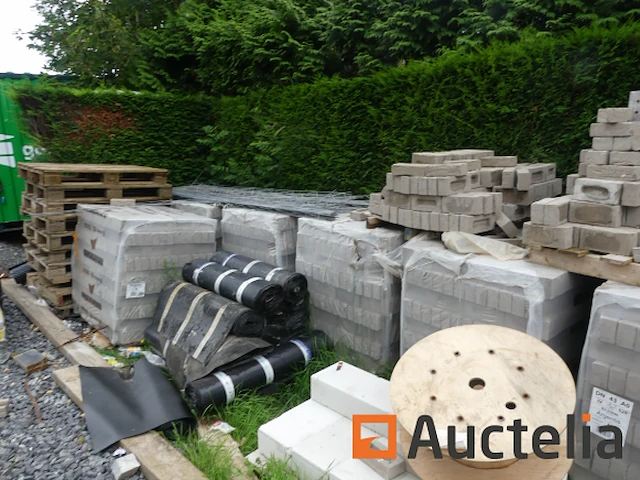 11 pallets bakstenen vandersanden argentis - afbeelding 9 van  10