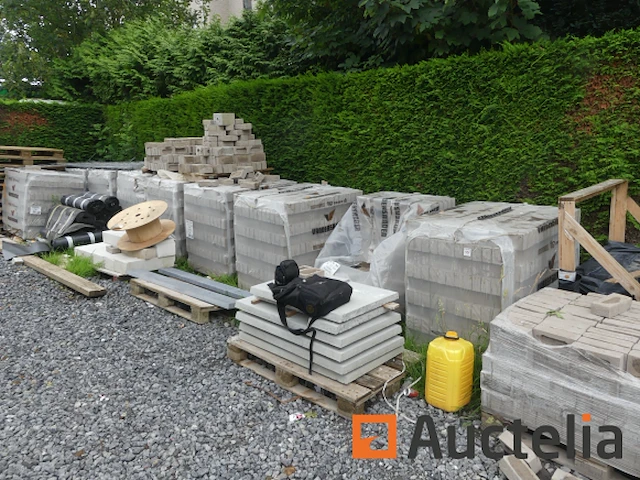 11 pallets bakstenen vandersanden argentis - afbeelding 10 van  10