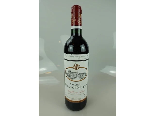 11x chateau chasse-spleen 2000 - afbeelding 1 van  3