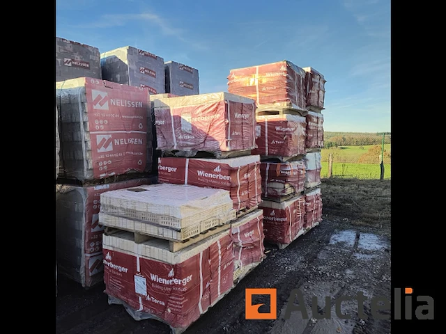 12 bakstenen pallets wienerberger kristal wit - afbeelding 4 van  8