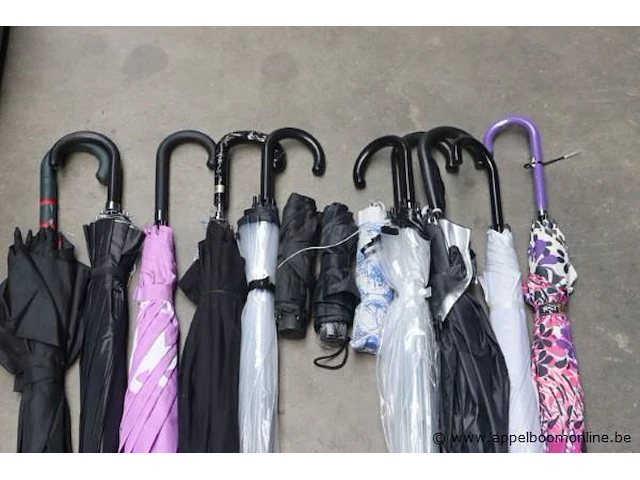 12 diverse paraplus - afbeelding 2 van  2
