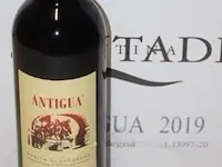12 flessen à 75cl rode wijn antigua, monica di sardegna, santadi, 2019, 13,5% - afbeelding 1 van  2